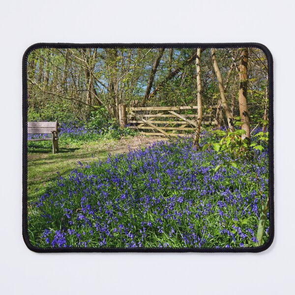 Item preview, Sit a while in the Bluebells in Hole Park Kent UK designed and sold by John Gilham - Landscape Photography.