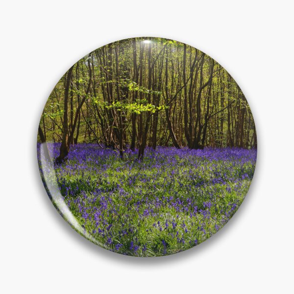 Item preview, Bluebells at Hole Park in Kent UK designed and sold by John Gilham - Landscape Photography.
