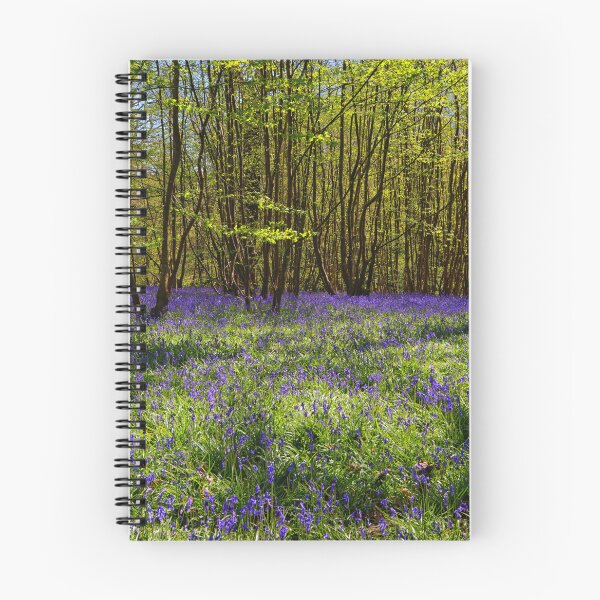 Item preview, Bluebells at Hole Park in Kent UK designed and sold by John Gilham - Landscape Photography.