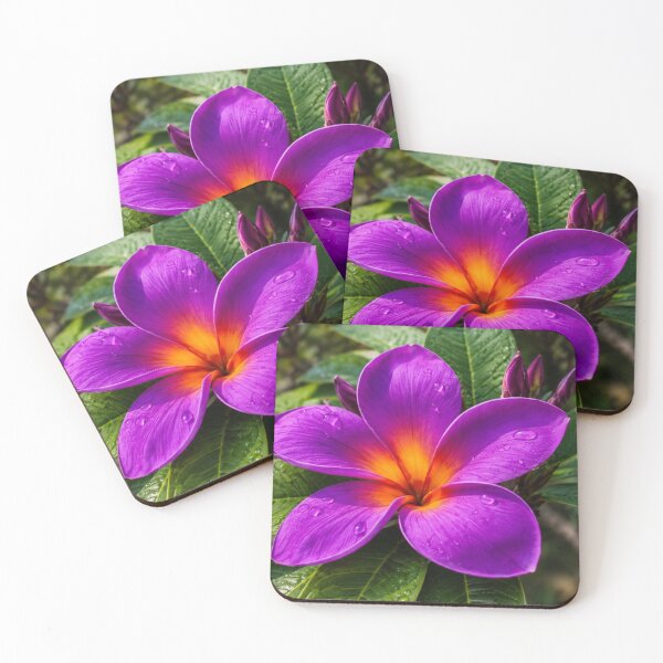 Item preview, Purple Plumeria Flower with Water Droplets and Tropical Green Leaves designed and sold by Wild Bloom Paws.