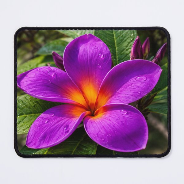 Item preview, Purple Plumeria Flower with Water Droplets and Tropical Green Leaves designed and sold by Wild Bloom Paws.