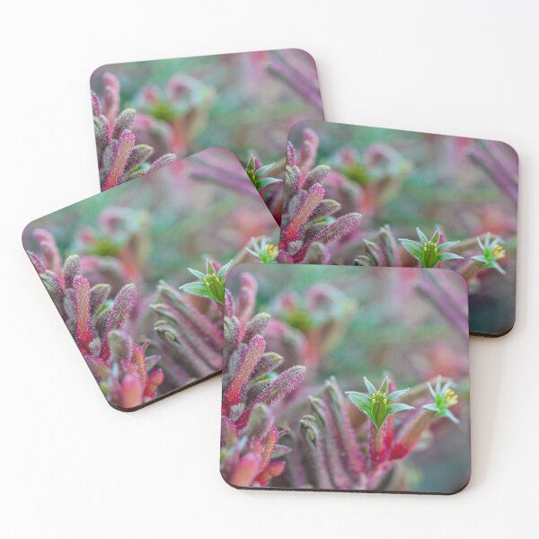 Item preview, Pink and Green Kangaroo Paw Anigozanthos Velvet Macro - Fine Canvas Print  designed and sold by MinzMarchStudio.