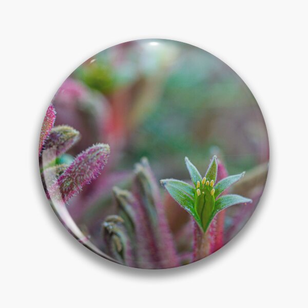 Item preview, Pink and Green Kangaroo Paw Anigozanthos Velvet Macro - Fine Art Photography Print  designed and sold by MinzMarchStudio.