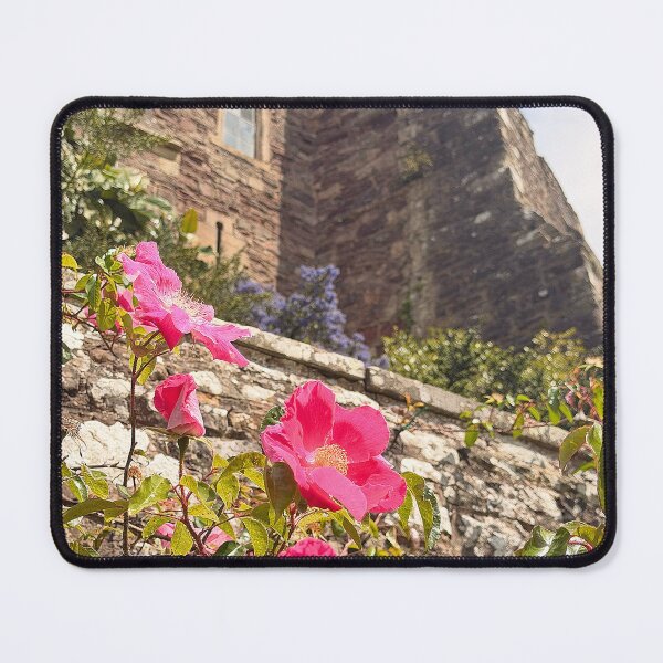 Item preview, Berkeley Castle designed and sold by Graz-Photos.