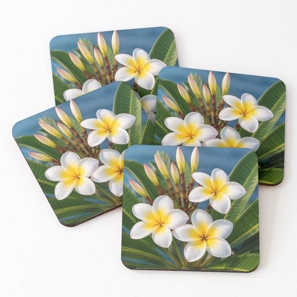 Item preview, White Plumeria Flowers with Golden Centres and Tropical Green Leaves designed and sold by Wild Bloom Paws.