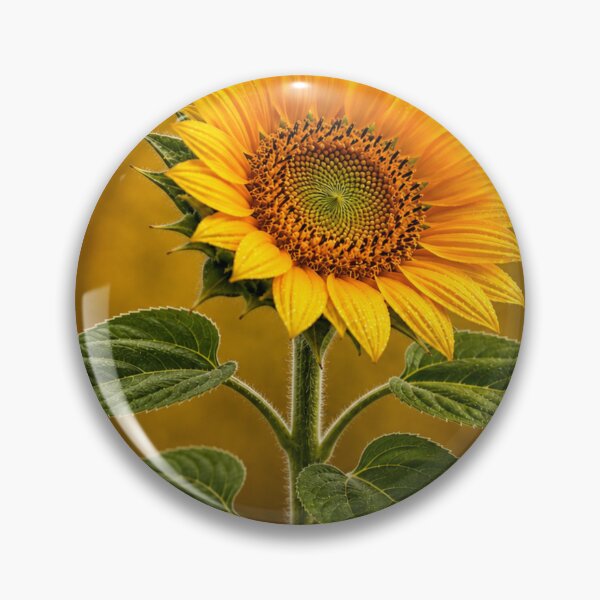 Item preview, Golden Sunflower with Dew Drops and Rich Botanical Detail designed and sold by Wild Bloom Paws.