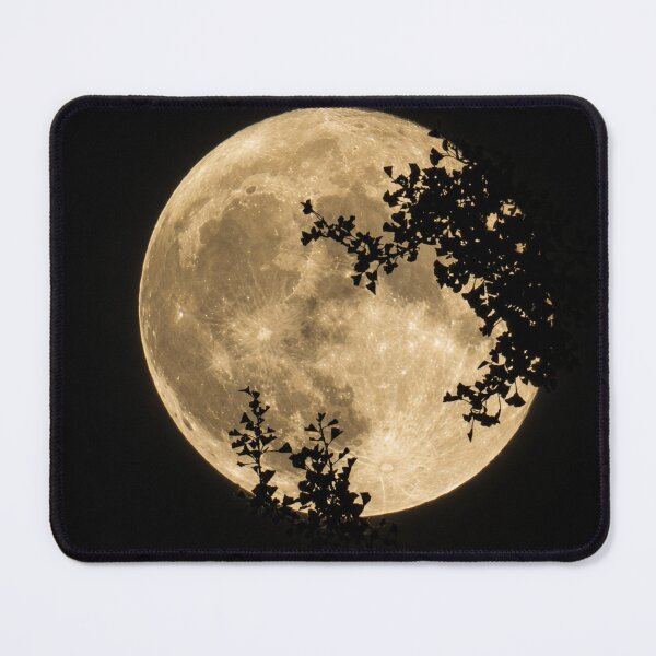 Item preview, Full moon with silhouetted branches designed and sold by Astute-Artio-Photography.