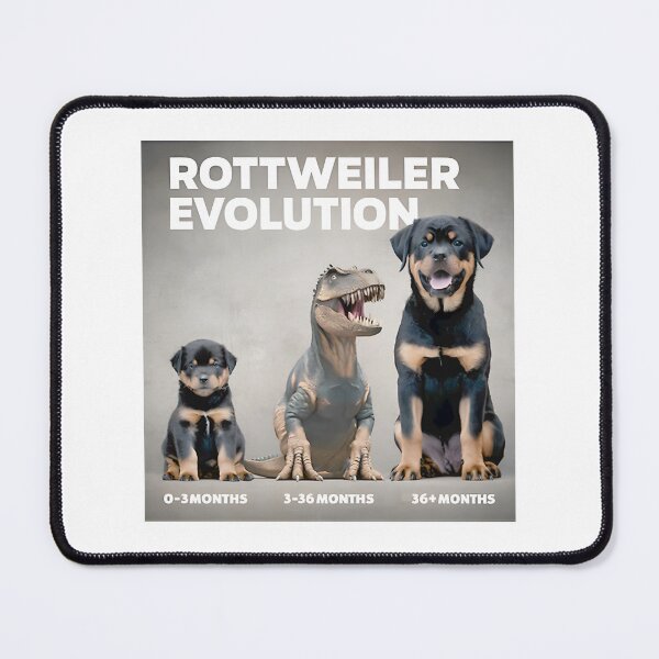 Item preview, Rottweiler Growth Stages: Puppy To Dino To Doggo ⭐⭐⭐⭐⭐ designed and sold by Redbubble-Gulf.