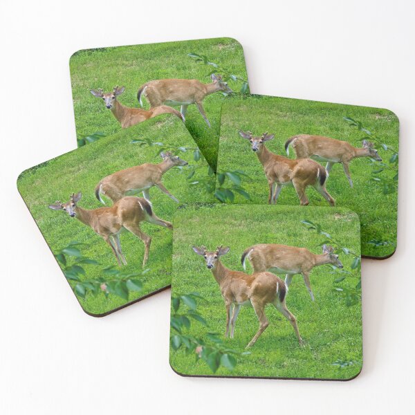 Item preview, Gentle grazers: White-Tailed Deer in a Lush Meadow designed and sold by Astute-Artio-Photography.