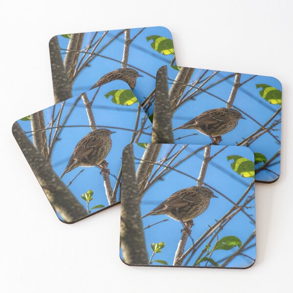Item preview, Hidden in plain sight: Dunnock in the branches designed and sold by Astute-Artio-Photography.