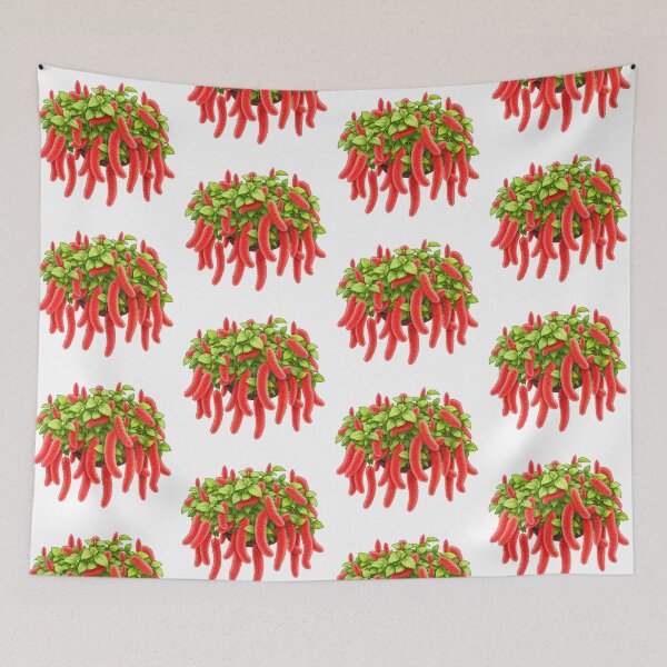 Item preview, Red Chenille Plant Botanical Illustration designed and sold by bubblyn.