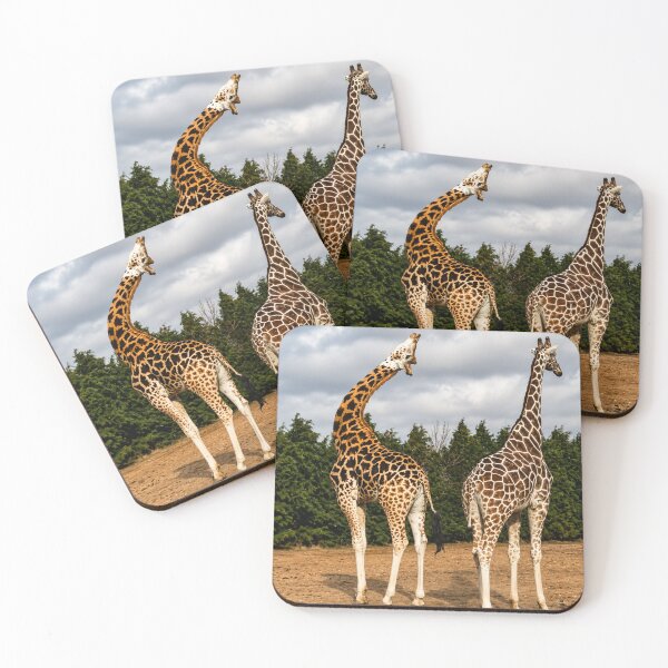 Item preview, "OMG, Maddie, Look at His Neck": The Giraffe Gossip Session designed and sold by Astute-Artio-Photography.