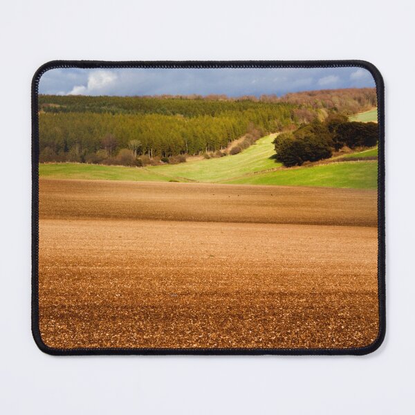 Item preview, View towards Queen Elizabeth forest UK designed and sold by Gallery one.