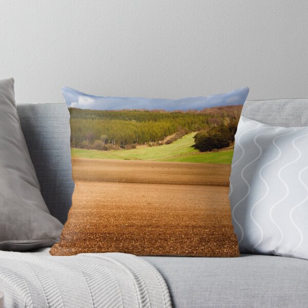 Item preview, View towards Queen Elizabeth forest UK designed and sold by Gallery one.
