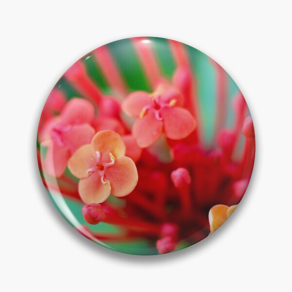 Item preview, Delicate Red Flower designed and sold by Likoca Photography.