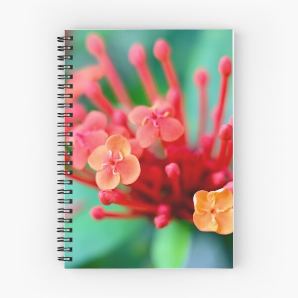 Item preview, Delicate Red Flower designed and sold by Likoca Photography.