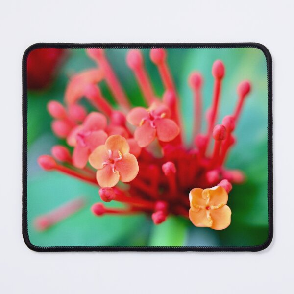 Item preview, Delicate Red Flower designed and sold by Likoca Photography.