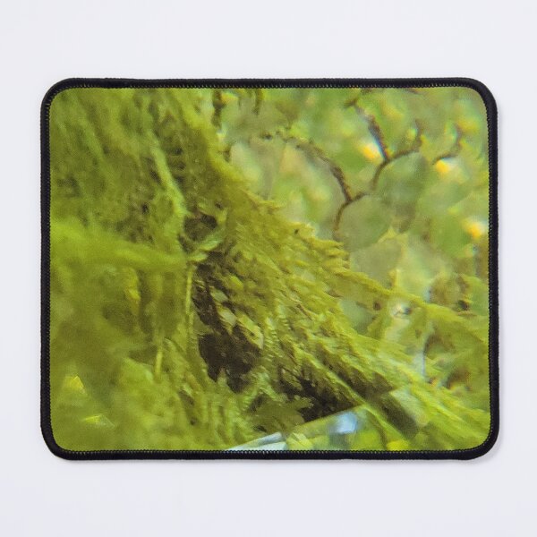 Item preview, Woodland Realm: Mystic Green Moss and Fairy Forest Light designed and sold by ElionSolis.
