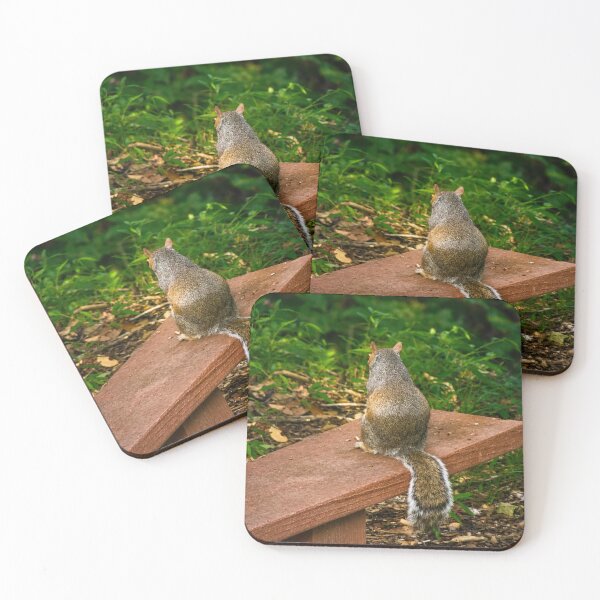 Item preview, Contemplation on  the Bench: Grey Squirrel in the Woods designed and sold by Astute-Artio-Photography.