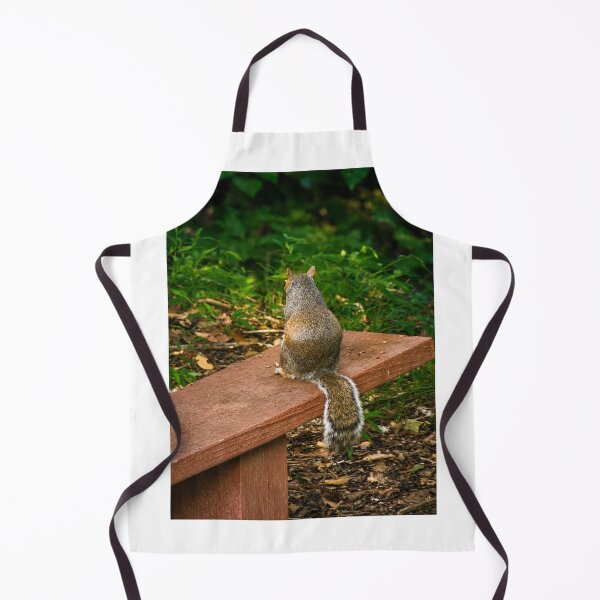 Item preview, Contemplation on the Bench: Grey Squirrel in the Woods designed and sold by Astute-Artio-Photography.