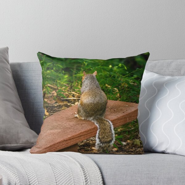 Item preview, Contemplation on  the Bench: Grey Squirrel in the Woods designed and sold by Astute-Artio-Photography.