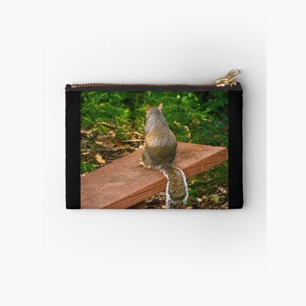 Item preview, Contemplation on  the Bench: Grey Squirrel in the Woods designed and sold by Astute-Artio-Photography.