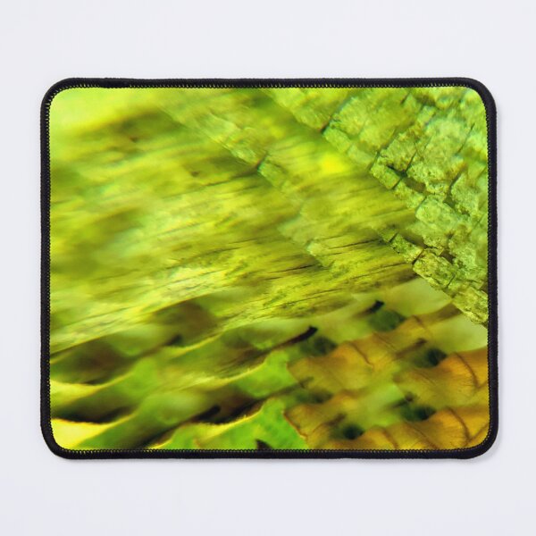 Item preview, Emerald Canopy: Wood Element Layers and Forest Light designed and sold by ElionSolis.