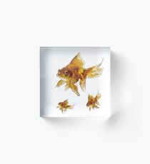PRIZE WINNING BLACK-GOLDFISH ART Acrylic Block