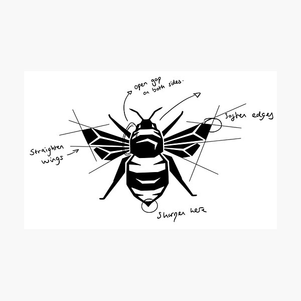 Item preview, Brentford designed and sold by mayaoff.