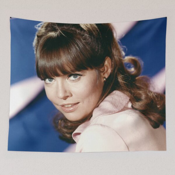Item preview, Barbara Feldon  designed and sold by pixelartshop4r.