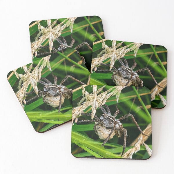 Item preview, Mother's Protection: Nursery Web Spider with Egg sac designed and sold by Astute-Artio-Photography.