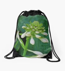 Insincere Secrets Drawstring Bag