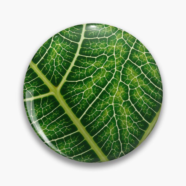 Item preview, Pattern of veins and textures of a green leaf designed and sold by EvgeniiV.