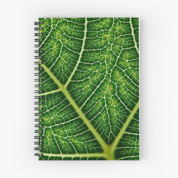 Item preview, Pattern of veins and textures of a green leaf designed and sold by EvgeniiV.
