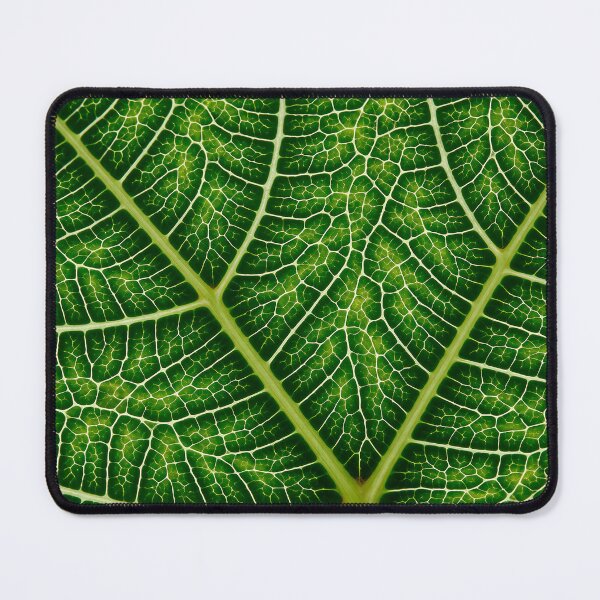 Item preview, Pattern of veins and textures of a green leaf designed and sold by EvgeniiV.