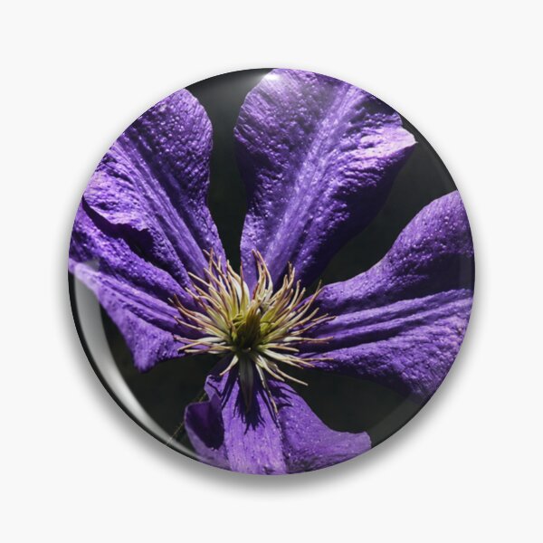 Item preview, Purple Clematis After Dark designed and sold by Kimberly Palmer.