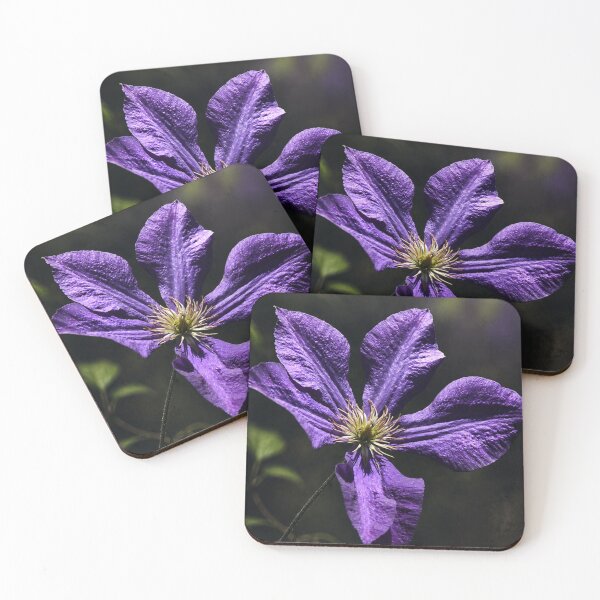 Item preview, Purple Clematis After Dark designed and sold by Kimberly Palmer.