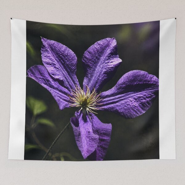 Item preview, Purple Clematis After Dark designed and sold by Kimberly Palmer.