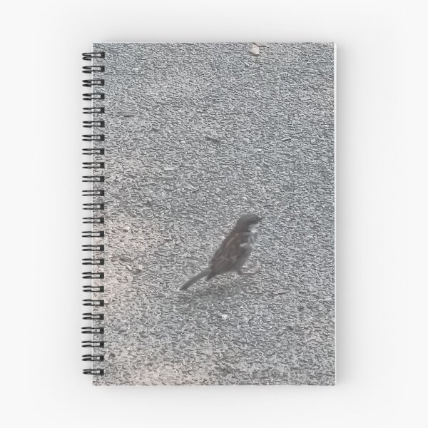 Item preview, birb designed and sold by unfortunately56.