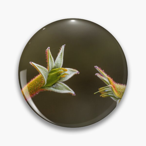 Item preview, Kangaroo Paw Botanical Macro Dialogue – Fine Art Canvas Print designed and sold by MinzMarchStudio.