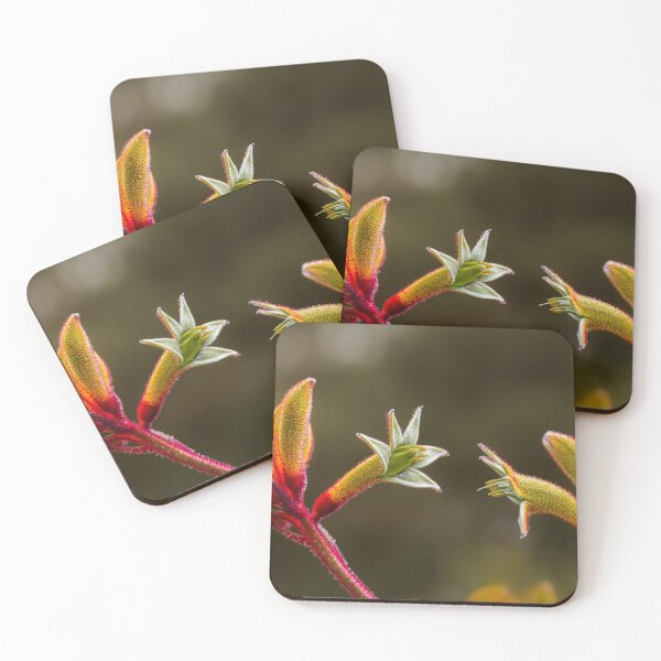 Item preview, Kangaroo Paw Botanical Macro Dialogue – Fine Art Canvas Print designed and sold by MinzMarchStudio.