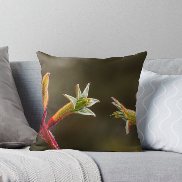 Item preview, Kangaroo Paw Botanical Macro Dialogue – Fine Art Canvas Print designed and sold by MinzMarchStudio.