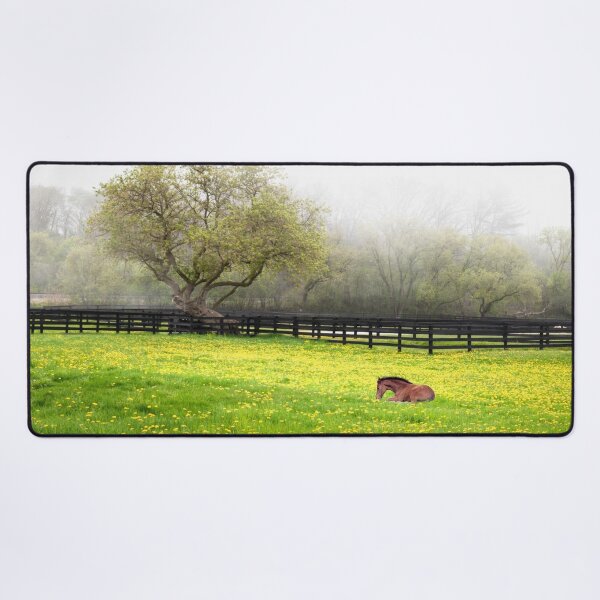 Item preview, Foal in misty grassy field with dandelions designed and sold by TerraMediaLLC.