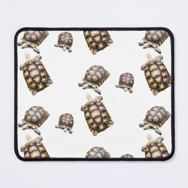 Item preview, Trio of Sulcata Turtles designed and sold by BeachBumFamily.