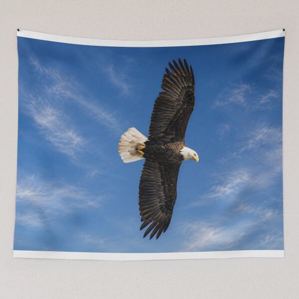 Item preview, Soaring Above designed and sold by Kimberly Palmer.