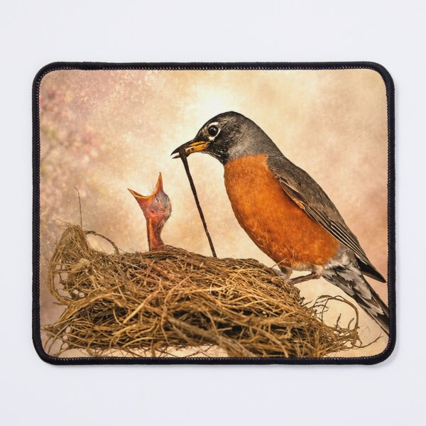 Item preview, A Robin’s Morning Delivery designed and sold by Kimberly Palmer.