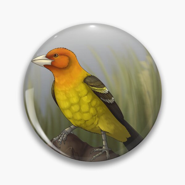 Item preview, Western Tanager designed and sold by DragonArtist15.