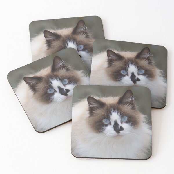 Item preview, Blue-Eyed Long-Haired Cat designed and sold by MiCarmoart.