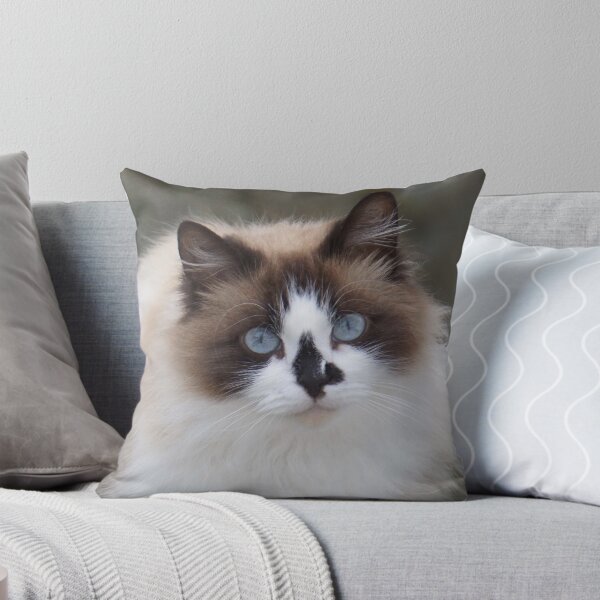 Item preview, Blue-Eyed Long-Haired Cat designed and sold by MiCarmoart.