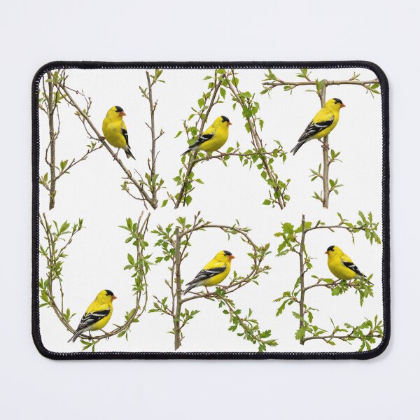 Item preview, GOLDFINCH LETTERS WORDS designed and sold by ART-TYPE.